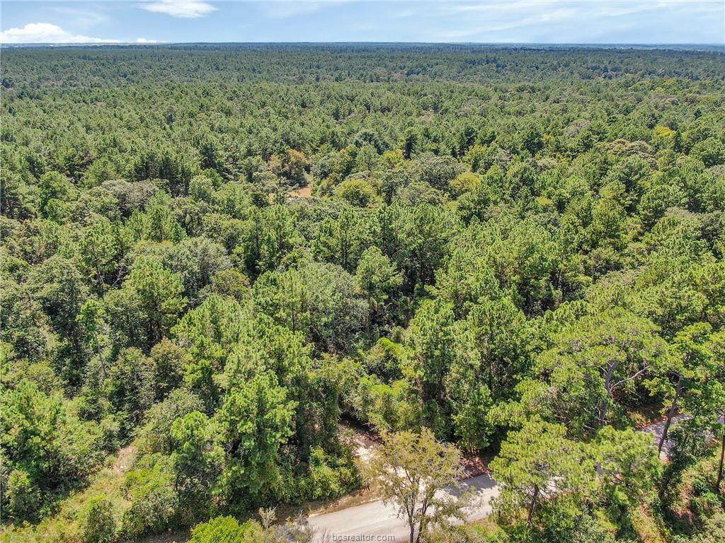 0040 County Road 302 - Photo 1