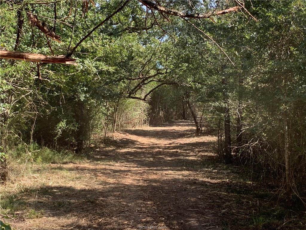 5577 Cr185 - Photo 1