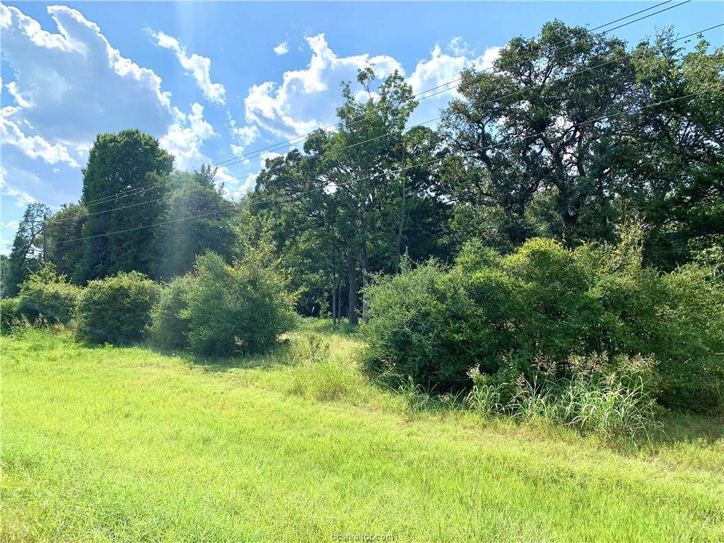 27 Acres Hwy 21 - Photo 1