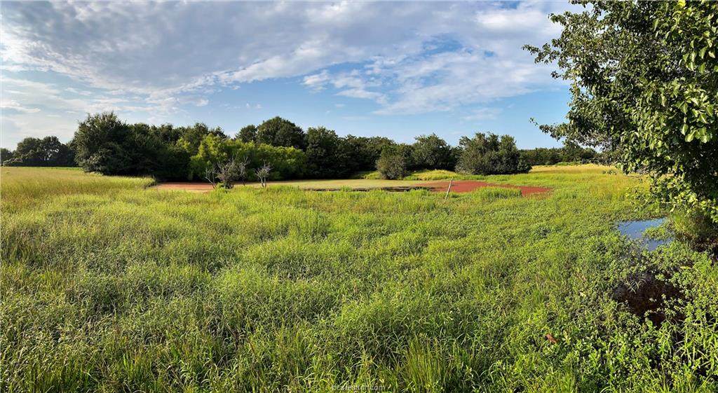 Lot 10 TBD Fm 2446 Farm To Market Road - Photo 1