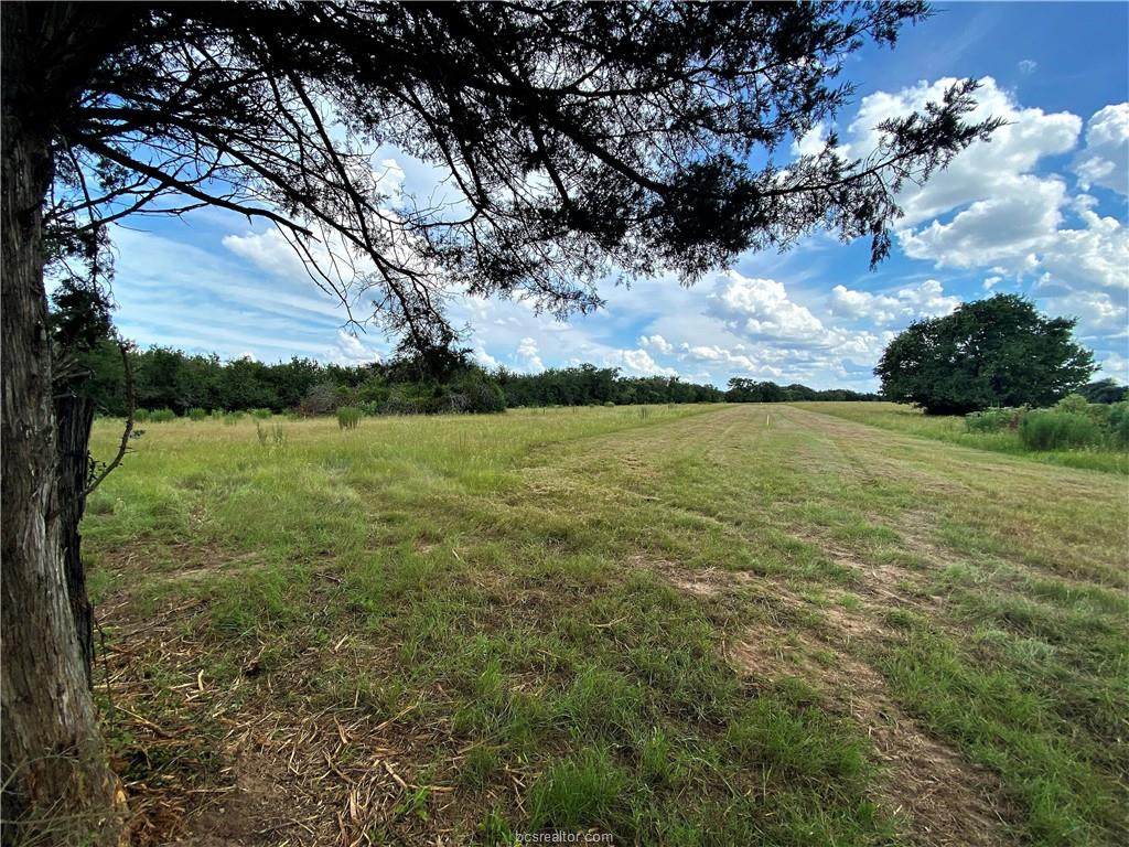 Lot 11 TBD Fm 2446 Farm To Market Road - Photo 1