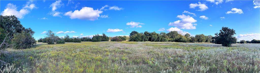 Lot 13 TBD Fm 2446 Farm To Market Road - Photo 1