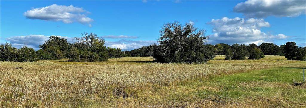 Lot 14 TBD Fm 2446 Farm To Market Road - Photo 1