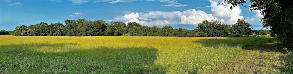 Lot 15 TBD Old Hickory Grove Rd Farm To Market Road - Photo 1