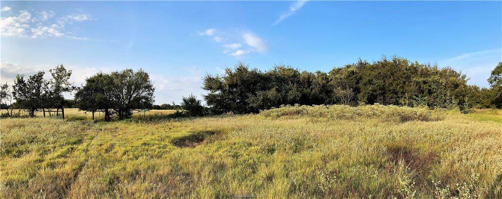 Lot 17 TBD Old Hickory Grove Rd Farm To Market Road - Photo 1