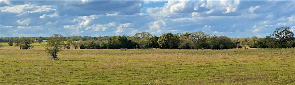 Lot 18 TBD Old Hickory Grove Rd County Road - Photo 1