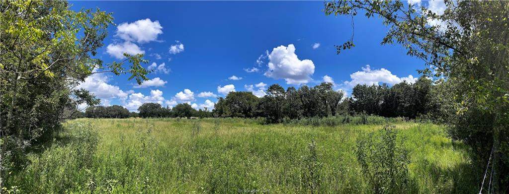 Lot 19 TBD Old Hickory Grove Rd Farm To Market Road - Photo 1