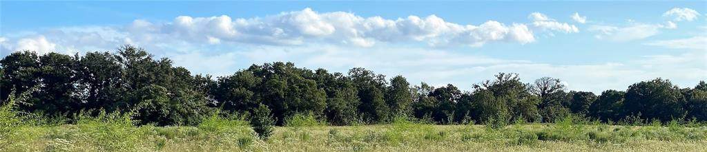 Lot 20 TBD Old Hickory Grove Rd Farm To Market Road - Photo 1