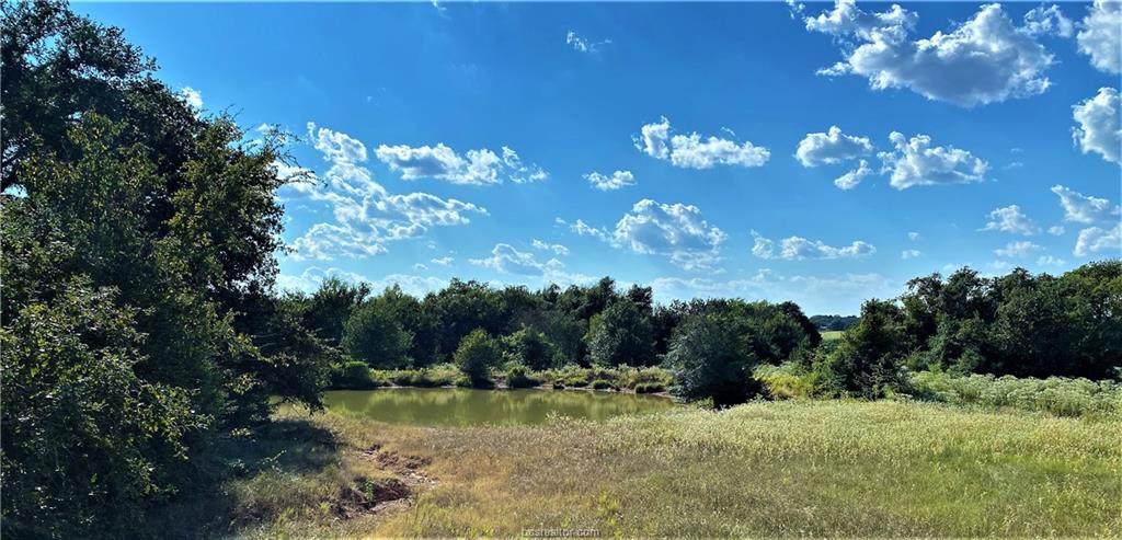 Lot 21 TBD Old Hickory Grove Rd County Road - Photo 1