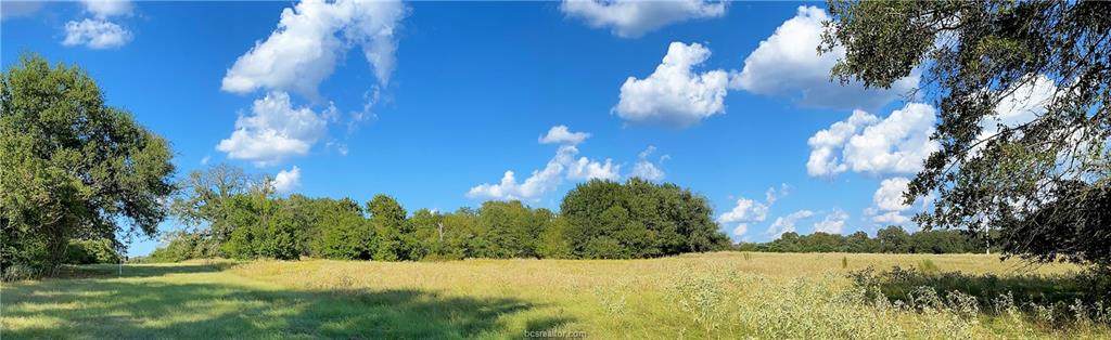 Lot 22 TBD Old Hickory Grove Rd County Road - Photo 1