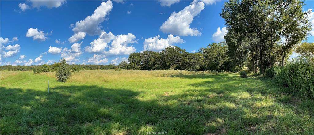 Lot 24 TBD Old Hickory Grove Rd County Road - Photo 1