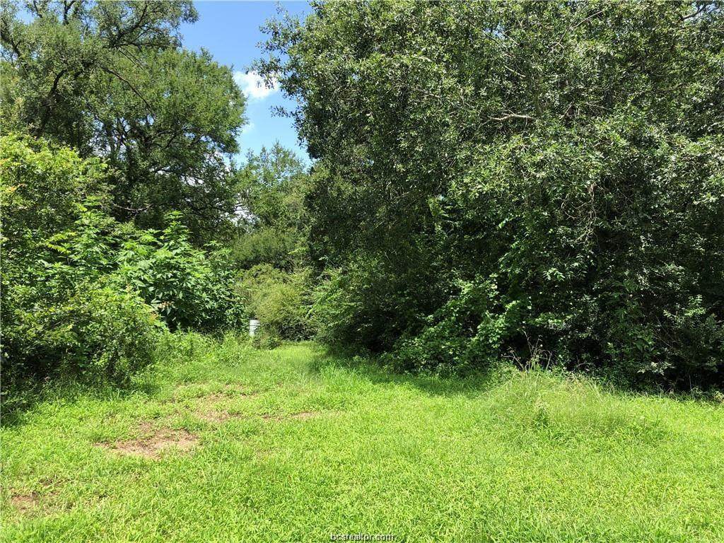 19 Acres Moon Street - Photo 1