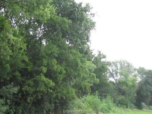 Lot 1 Blk 6 Tbd - Photo 1