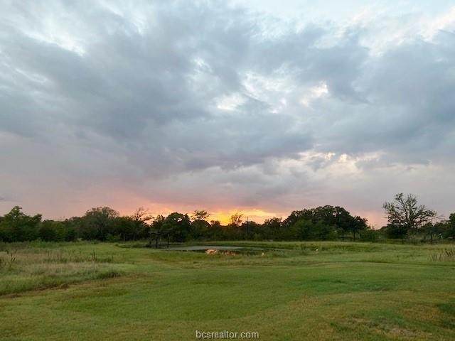 1177 Cazey Loop - Photo 1