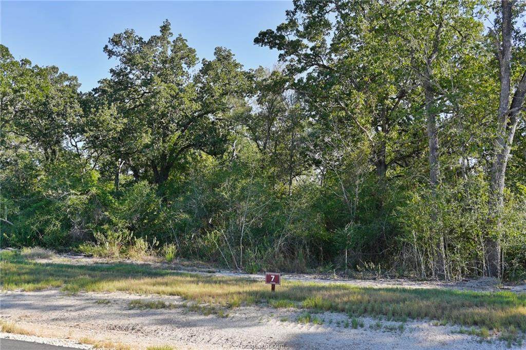 7653 Mary's Way - Photo 1