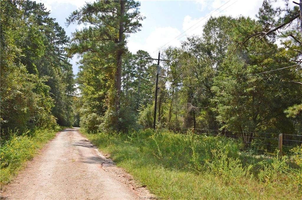 0003 Mata Rd - Photo 1