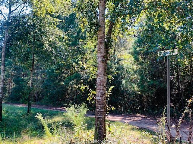 0 Sycamore Lane - Photo 1