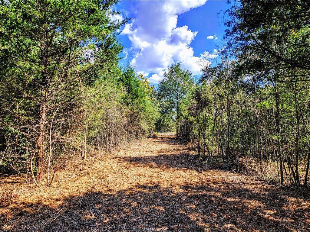 560 Embra Road - Photo 1