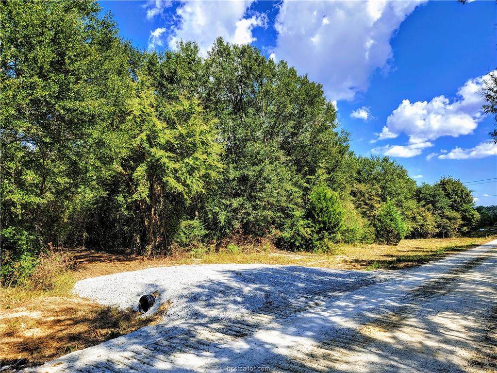 Lot 4 Private Road - Photo 1