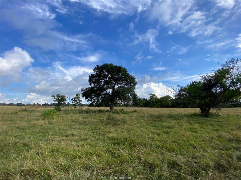 74.38 Acres County Road 202 - Photo 1