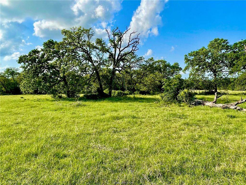 Lot 9 Bria Bend Drive - Photo 1