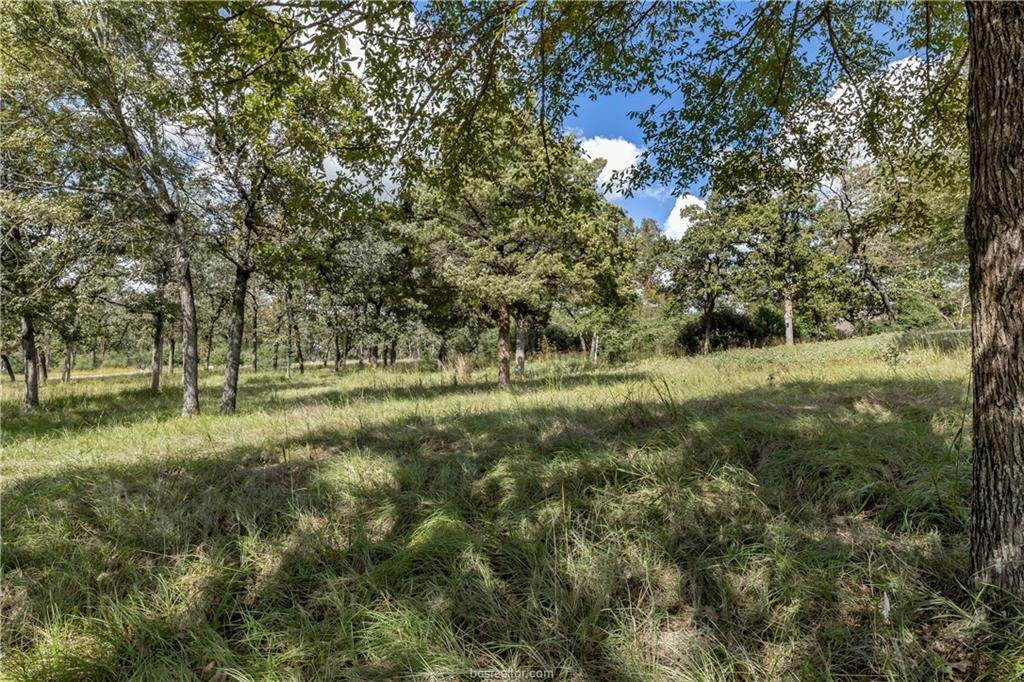 9790 Belgrave Square - Photo 1
