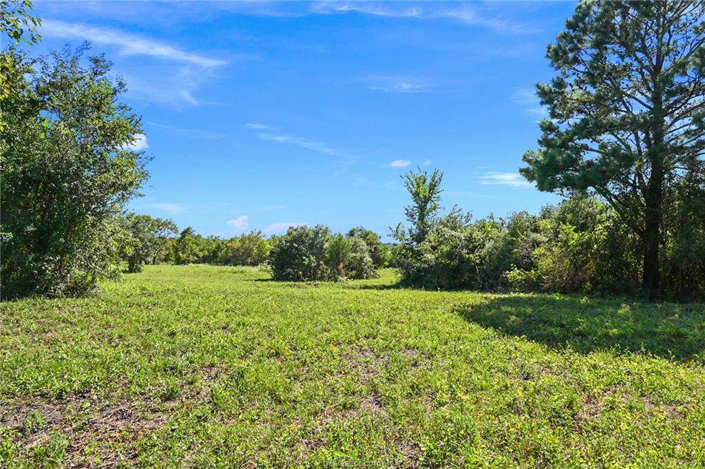 7.25 Acres Cr 309 - Photo 1