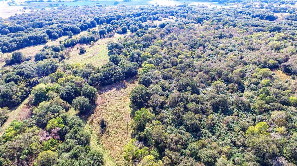 10230 County Road 316 - Photo 1