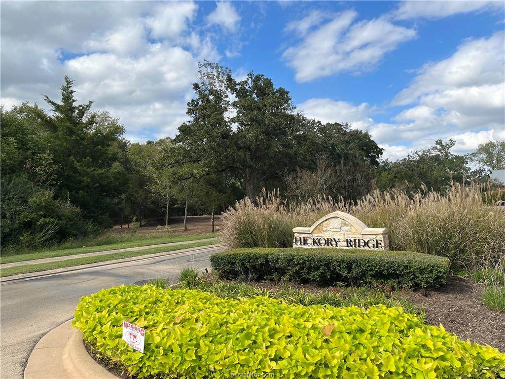 3000 Hickory Ridge - Photo 1