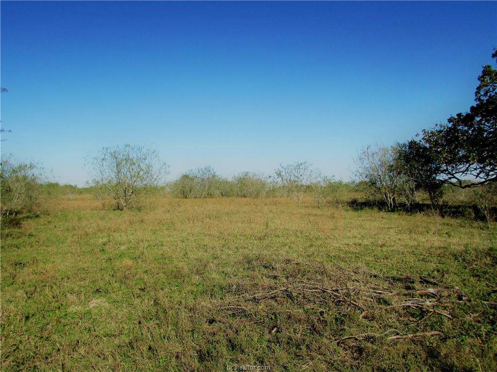 7736 Eagle Vista Avenue - Photo 1
