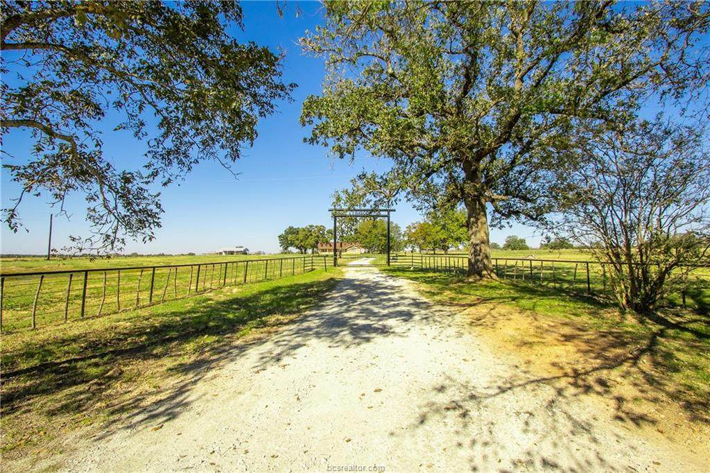 12724 Bundic Road - Photo 1