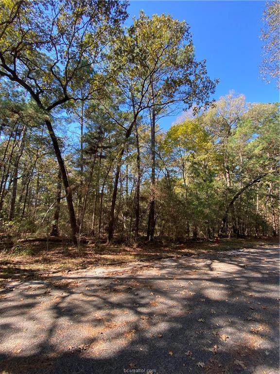 0 W Pecan Circle - Photo 1