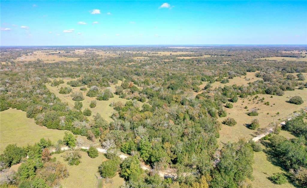 TBD Wiseman Road - Photo 1