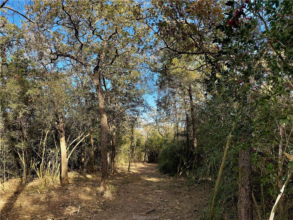 1505 Fm 46 - Photo 1