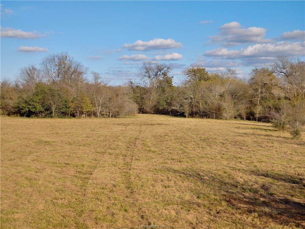 TBD Grimes Cr 108 - Photo 1