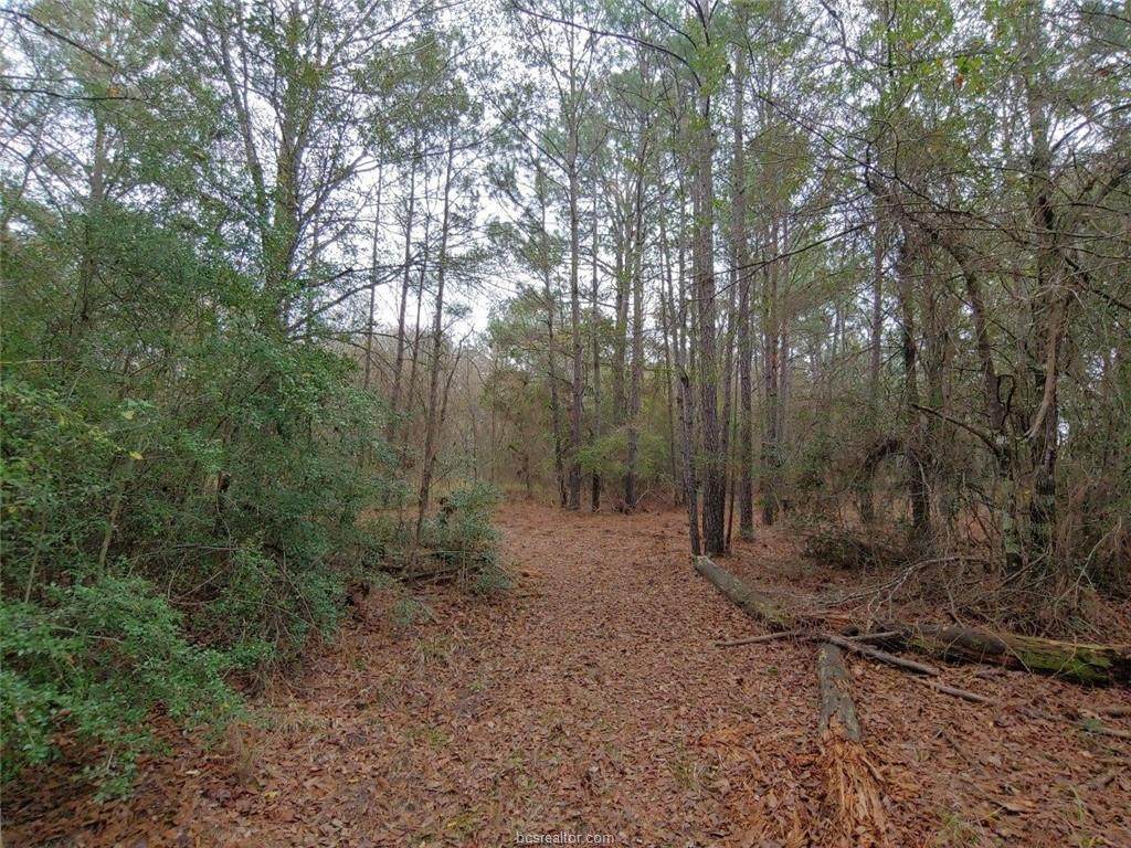 TBD Cr 231 - Photo 1