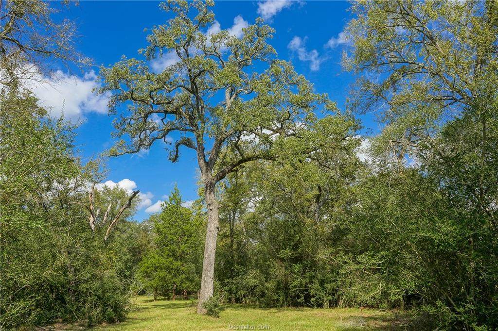 Tract 4 Barnett Rd - Photo 1