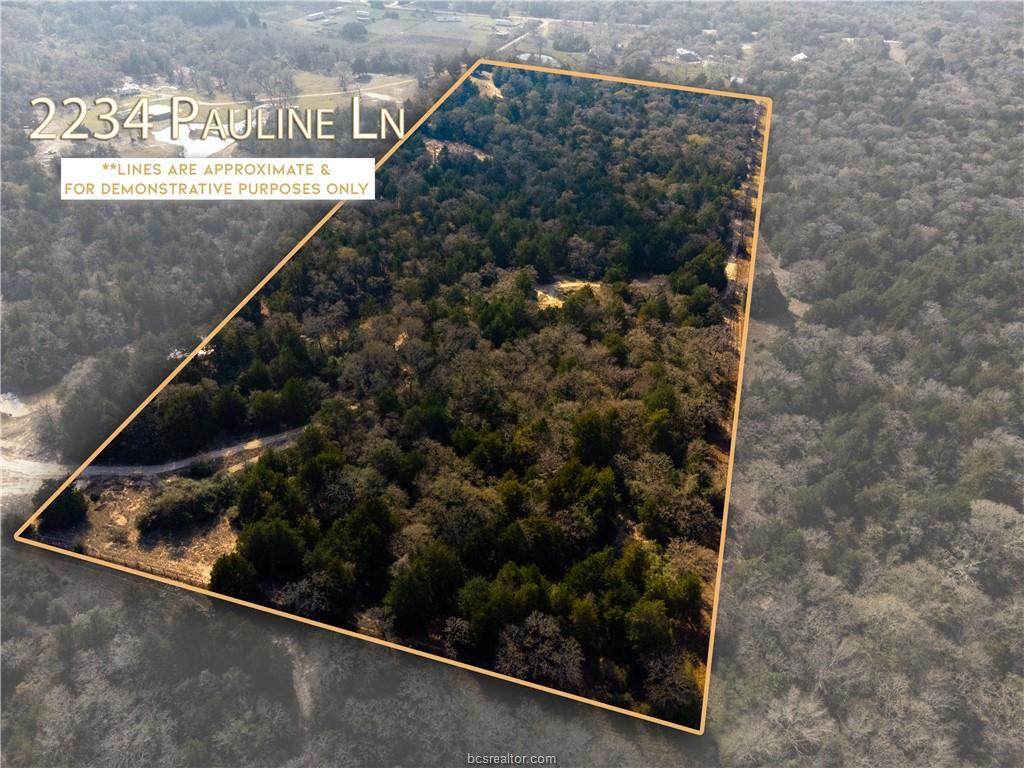 TBD 20 +/- ACRES Pauline Lane - Photo 1