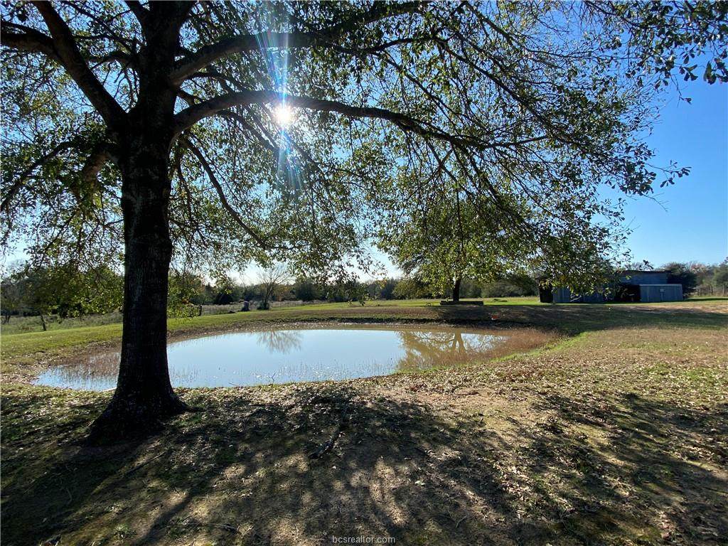 3193 County Road 112 - Photo 1