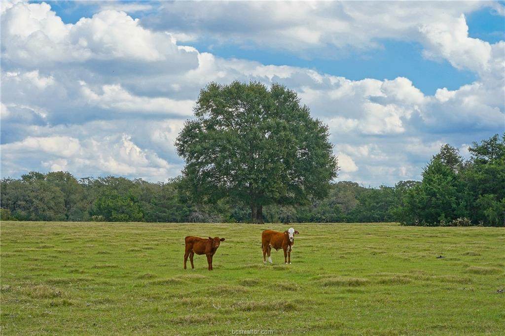 Tract 3 Barnett Rd - Photo 1