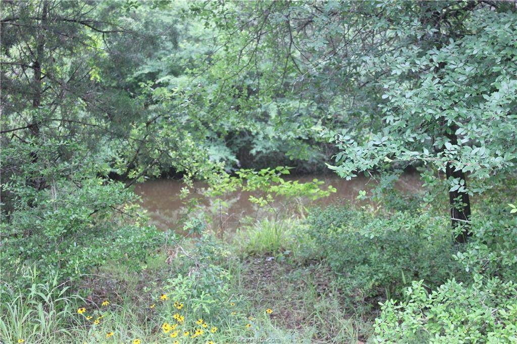 TBD Rose Hill Rd - Photo 1