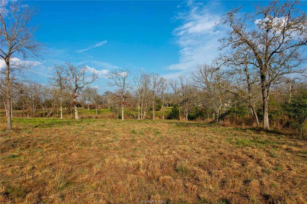 Lot 4, 5, 6, & 7 Hickory Loop (+/- 1.962 Acres) - Photo 1