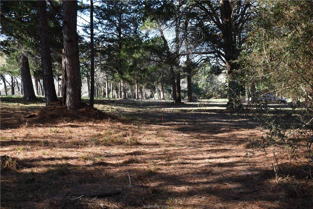 000 Falls Drive - Photo 1