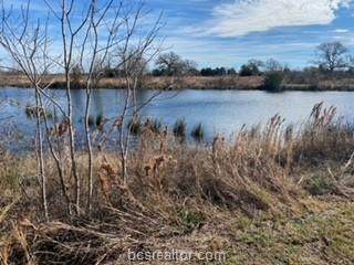 Lot 435 Henley Cove - Photo 1