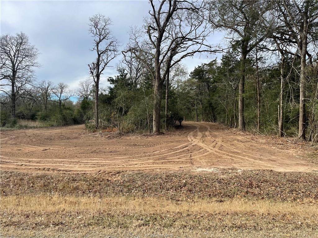 TBD County Road 269 - Photo 1
