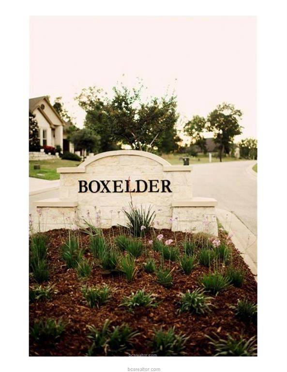 2939 Boxelder Drive - Photo 1