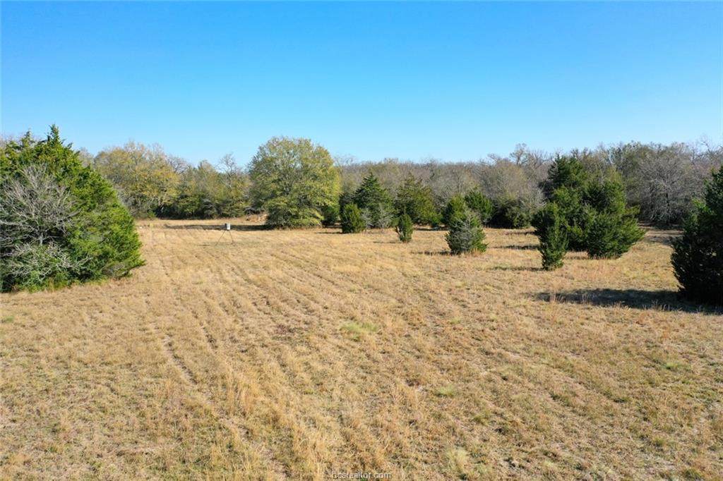 5AC Manning Lane - Photo 1