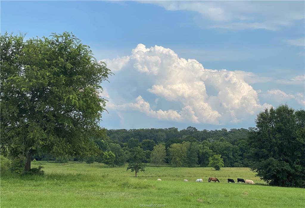 15.7 +/- Acres Fm 1940 - Photo 1