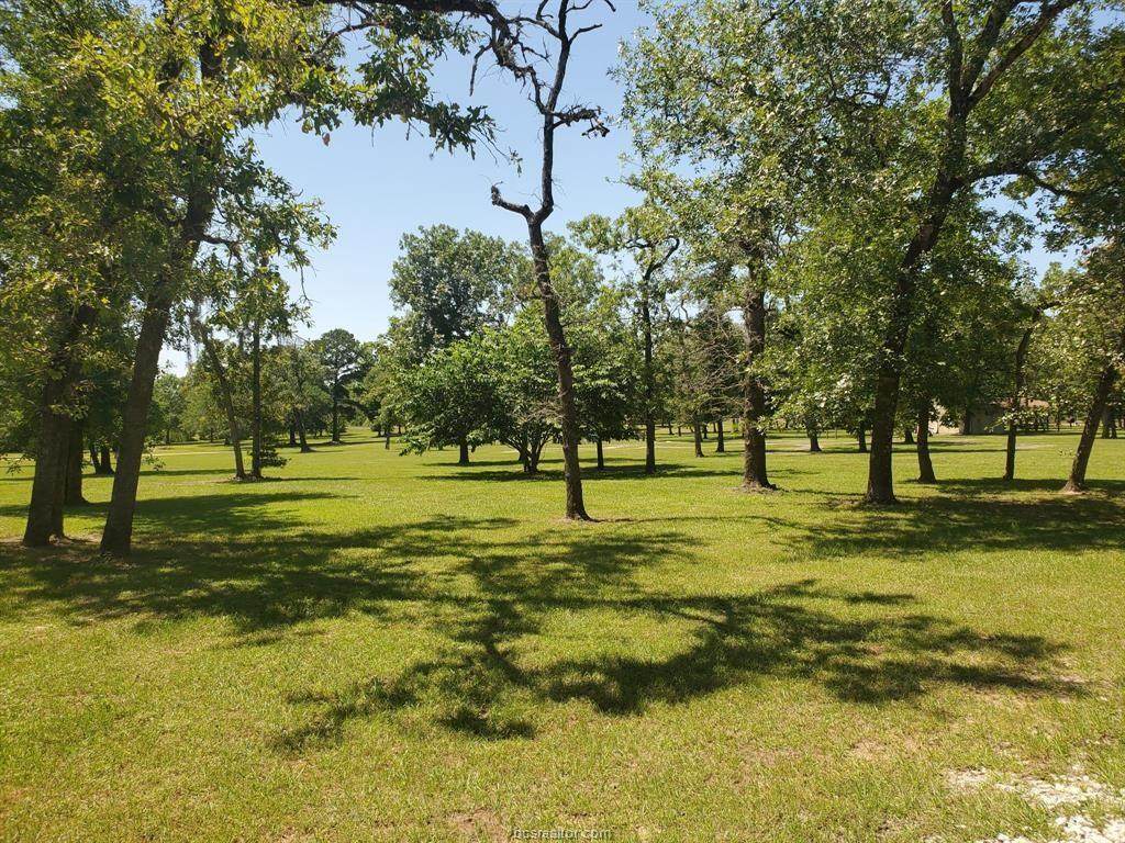 Lot 4 Jackrabbit Drive - Photo 1