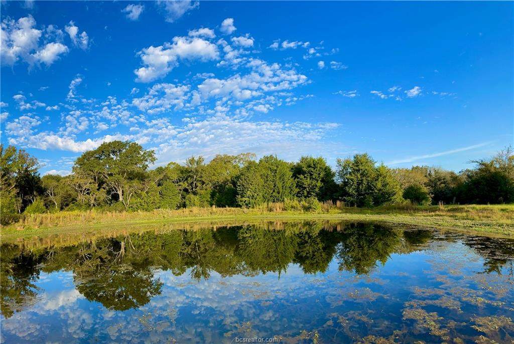 TBD Grant Prairie Rd (+/-28Ac) - Photo 1